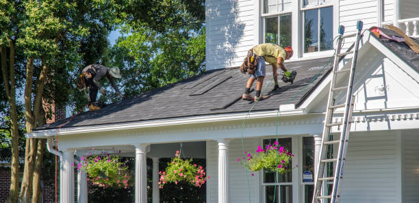 Best Roof Gutter Cleaning  in Canton, SD